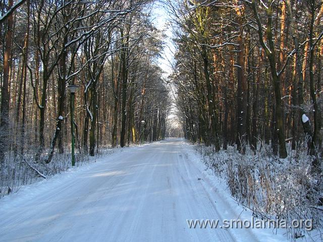 zima2009 (15).JPG